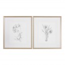  Botanical Sketches