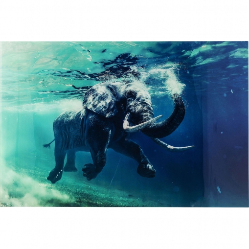  Swimming Elephant