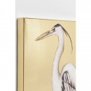  White egret