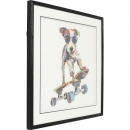  Skater Dog