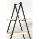  Ladder