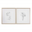  Botanical Sketches