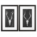  Rustic European Mounts