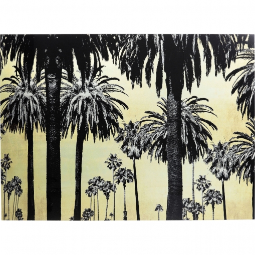  Palms