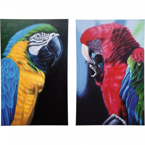  Parrots