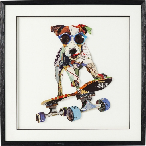  Skater Dog