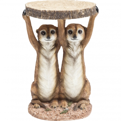  Meerkat Sisters