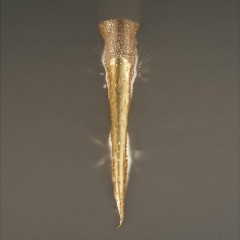 Фигурное вертикальное позолоченное бра с перфорацией в верхней части - mml/195