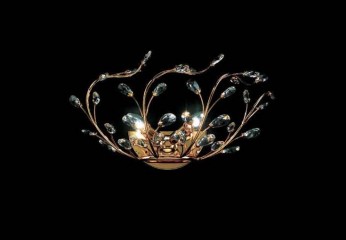 ������������ ��� �� ��������� ����� � ����������� - par/193