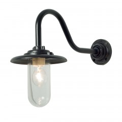  Boletus clear  - btc/0876