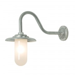  Boletus matt  - btc/0956