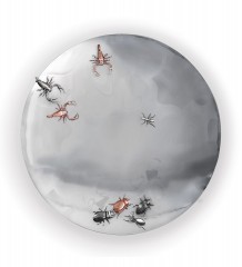 Вогнутое настенное зеркало с жуками и скорпионами - bcd/189