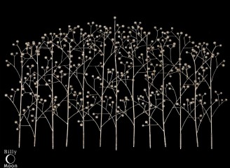  Iron Trees - utr/2841