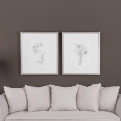  Botanical Sketches - utr/2629