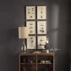  Study of Shells - utr/2778