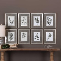  Sepia Gray Leaves - utr/2598