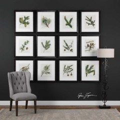  Pinecones - utr/2698