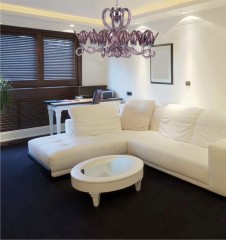  Hyacinth  16  - irc/130