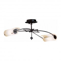 ������ � ��������� � ����� ������� - slnt/0278