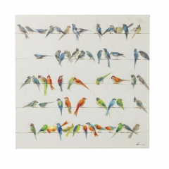  Colorful birds - krc/0940